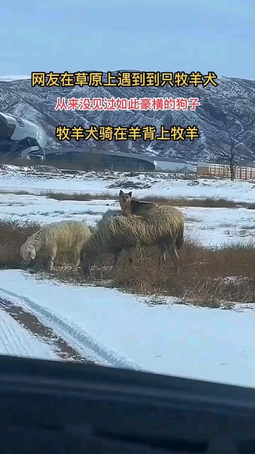 算命先生八字会读书 八字算命先生套路 算命先生八字会读书 八字算命先生套路