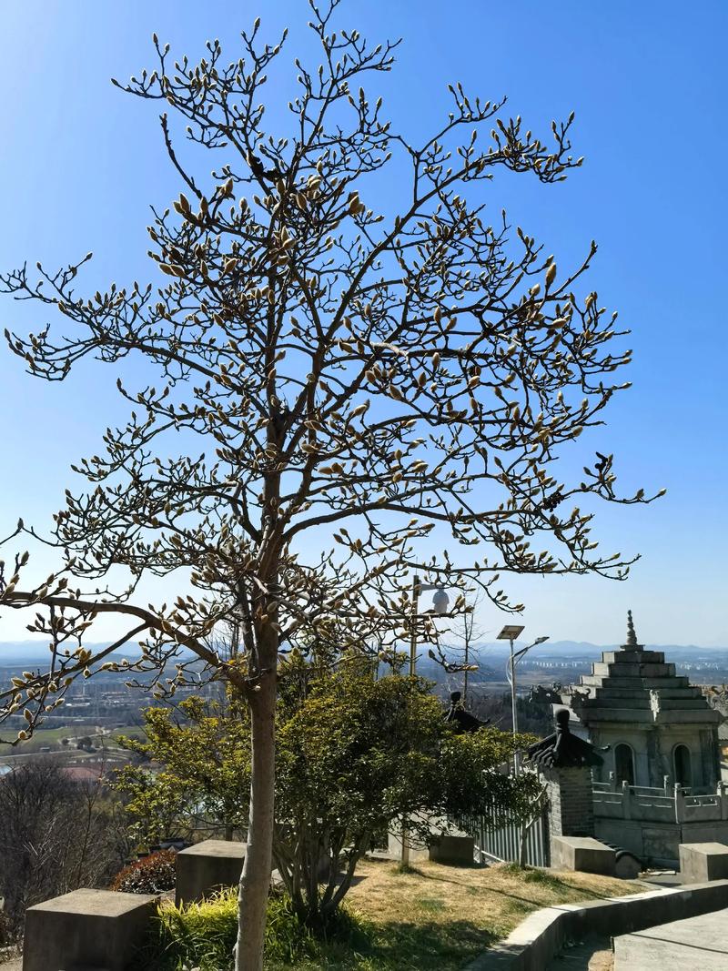 石头摆放家里的风水八大禁忌你知道吗(石缸风水禁忌图解图例大全) 石头摆放家里的风水八大禁忌你知道吗(石缸风水禁忌图解图例大全)