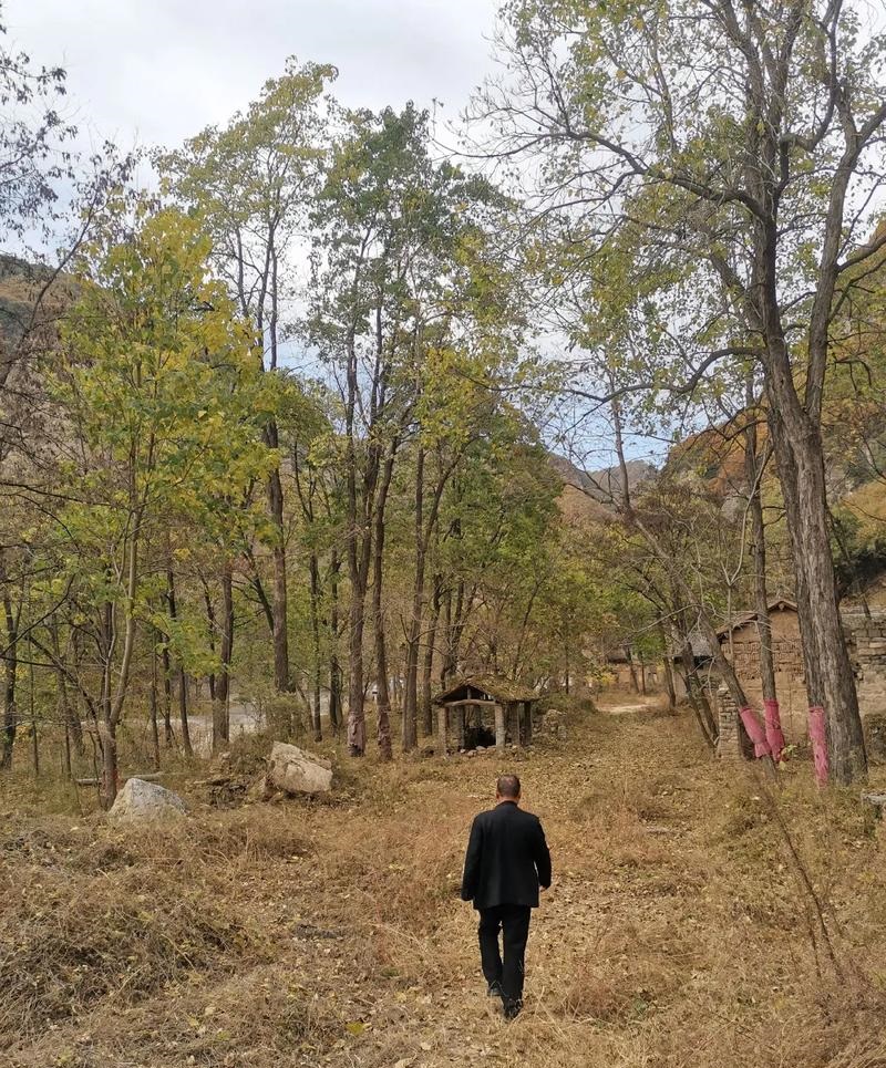 财神庙陕西,陕西财神爷在什么山 财神庙陕西,陕西财神爷在什么山